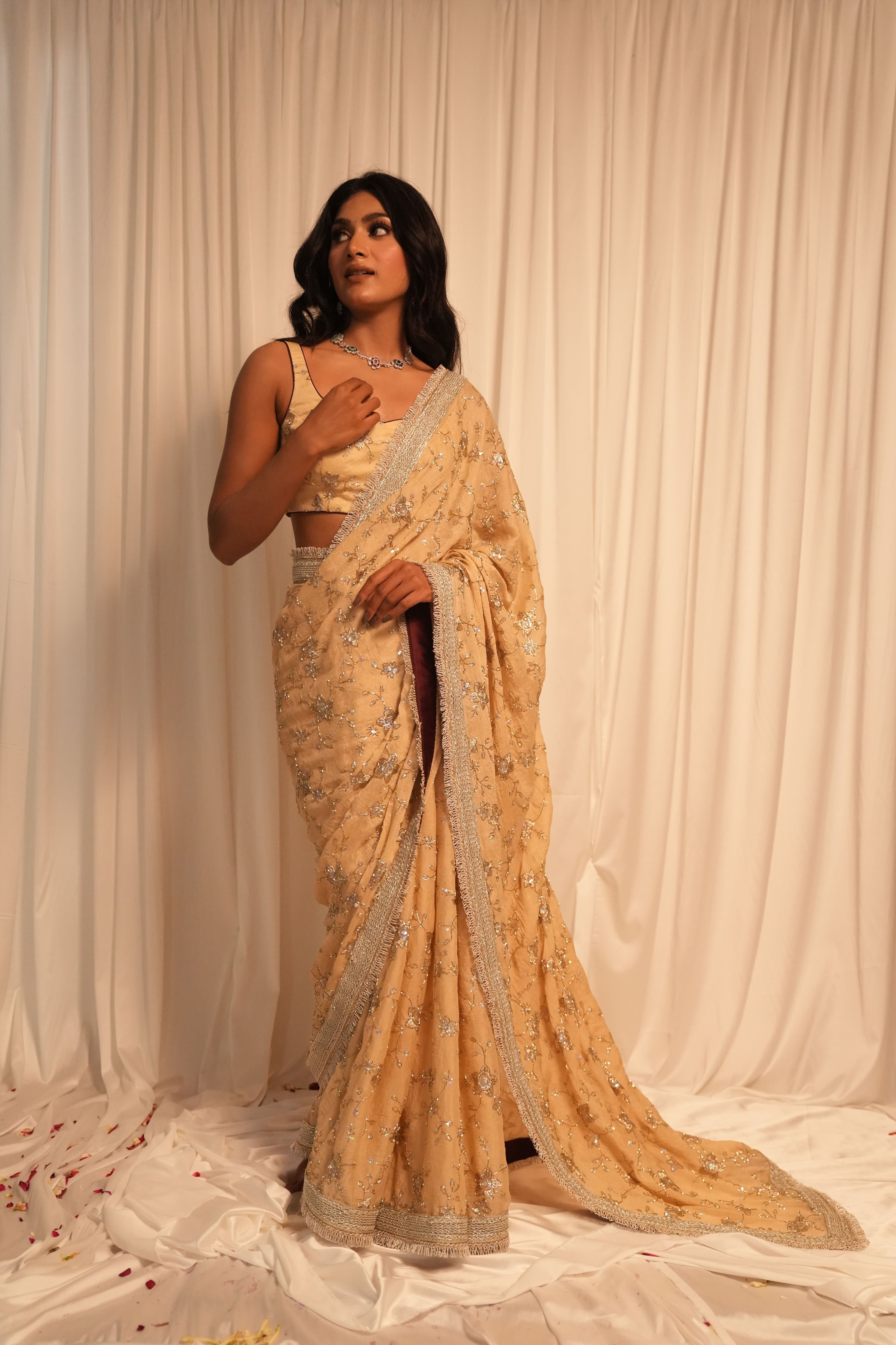 The rush saree 6